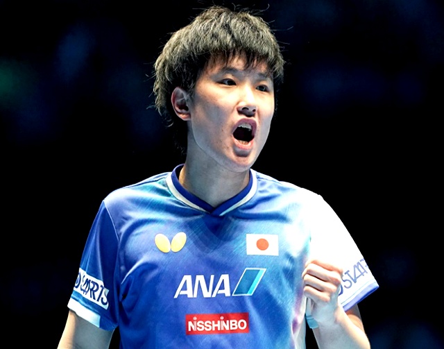 中国队逆转瑞典队，张本智和状态火热的简单介绍