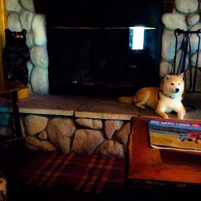 开云sport-跨界主宰,从深圳决胜到贝恩接管,竞技体育的终极共性