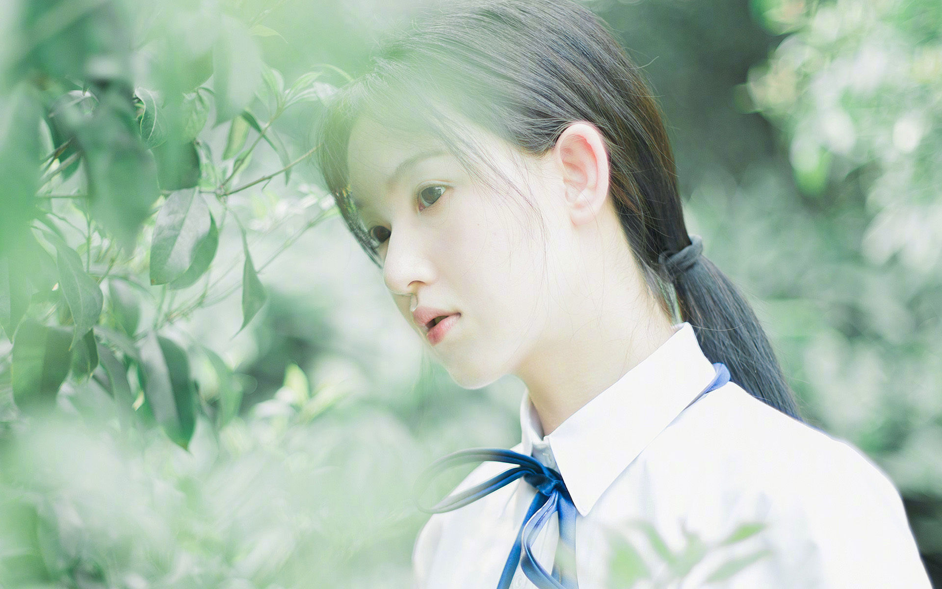 开云体育登录-英超争冠的华丽乐章，中国足球的热血叙事