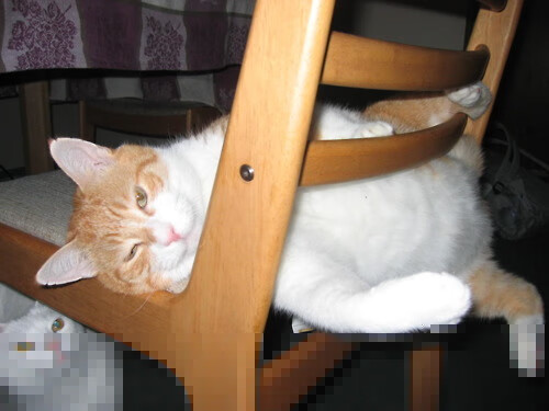 开云体育平台APP-跨洋利刃!利拉德45分神奇撕裂吉林,魔术力克强敌