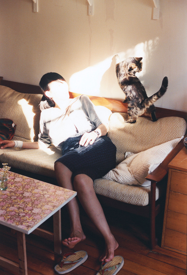 从沼泽到王座,当鹈鹕的进化链碾压篮网的华丽公式