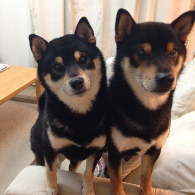 开云体育登录-从沙漠到绿茵圣殿，拉齐奥的全球冲击波与哈弗茨的欧冠封神夜