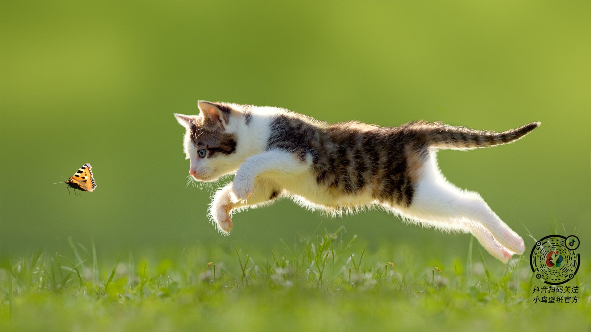 开云体育APP下载-战术棋盘上的双城记，从欧冠淘汰赛到快船掘金的对决