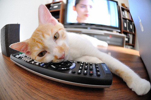 开云sport-29分逆转之夜，当乔丹私生子在公牛主场撕碎马刺