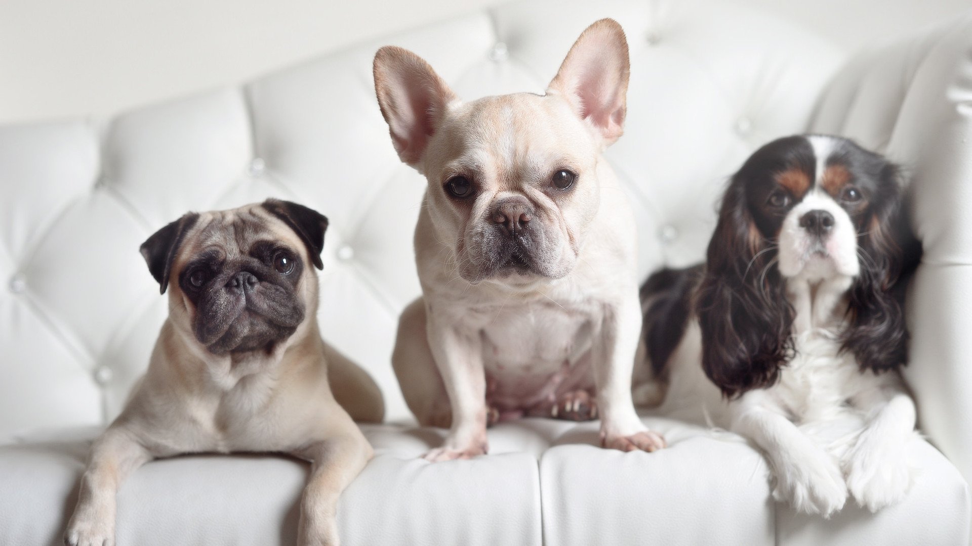 静水流深与白浪搏击,苏格兰的沉稳与帕尔默的狂飙,胜利的双面镜像