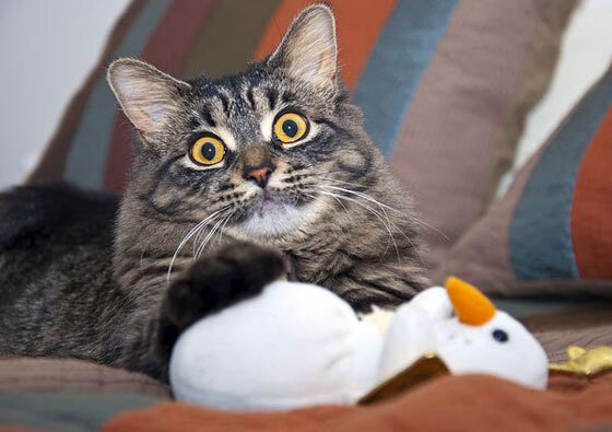 开云APP-球场上的永恒瞬间，当韩国完胜威尔士遇见莫德里奇接管决赛的夜晚