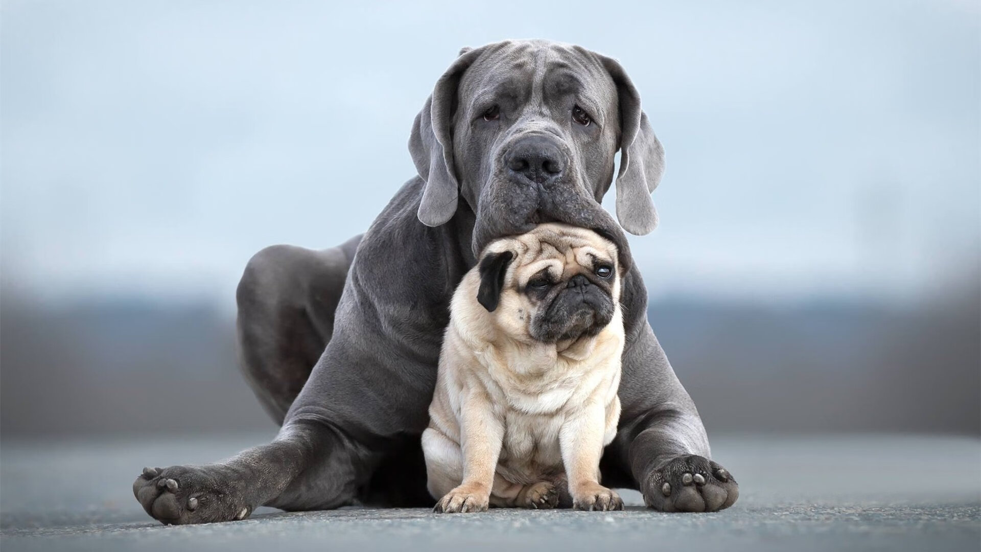 开云平台-奥运周期关键战焦点,爵士狂胜火箭,球员状态成奥运选拔风向标