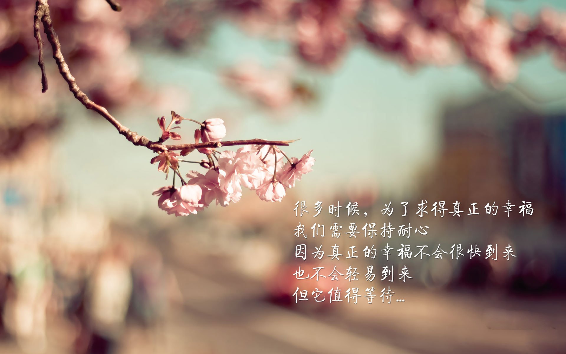 青绿色绞索,当爱尔兰用沉默的锁链将橙色风暴拖入战术真空