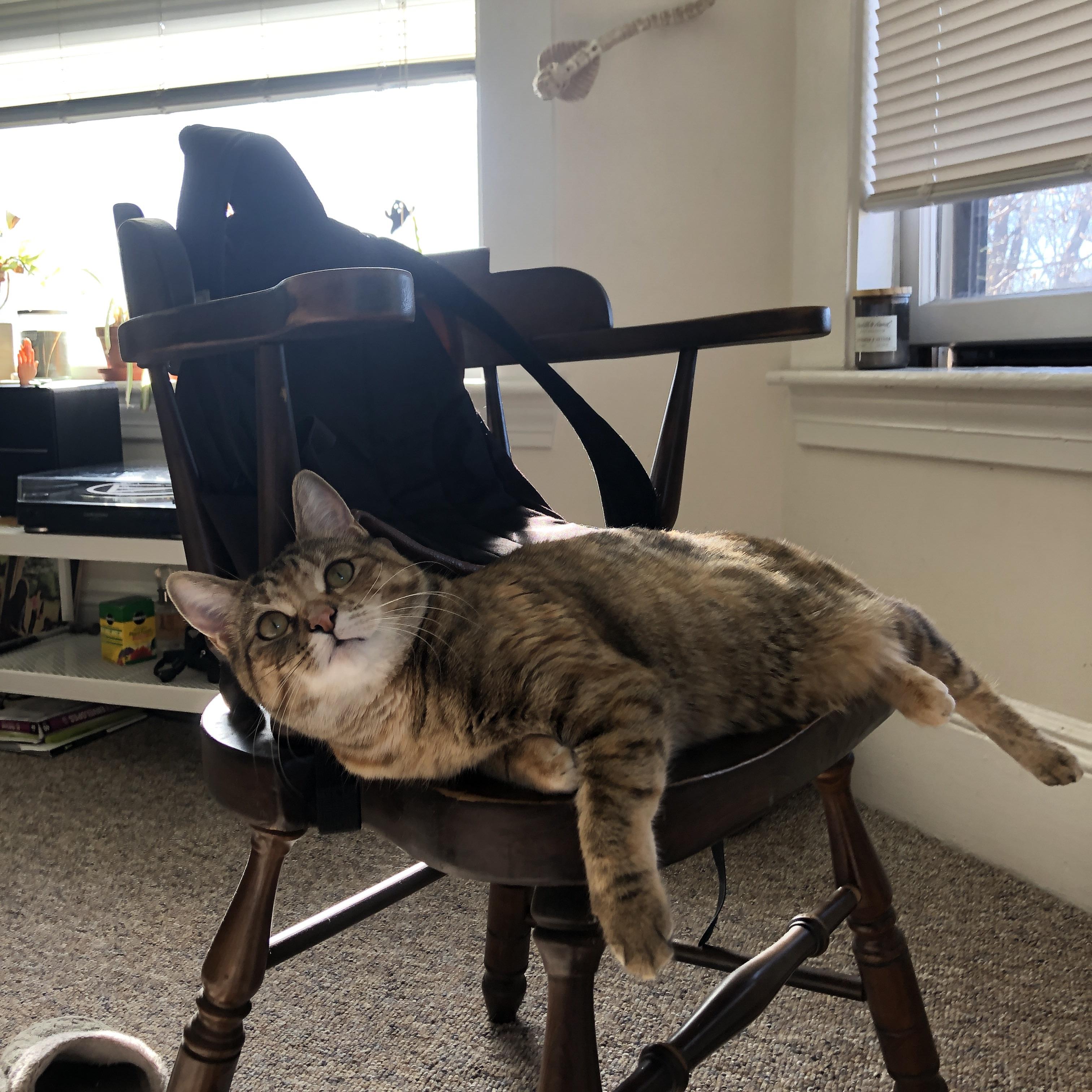 开云体育平台APP-终点线前的窒息感，为何极致稳定才是最顶级的疯狂？