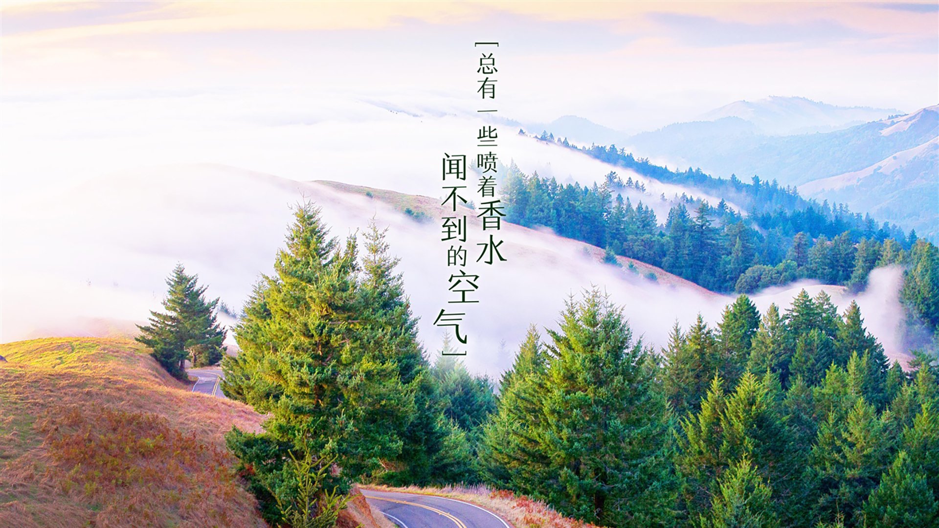 开云体育-中亚铁骑踏破东欧屏障,乌兹别克斯坦的2026世界杯奇迹之夜