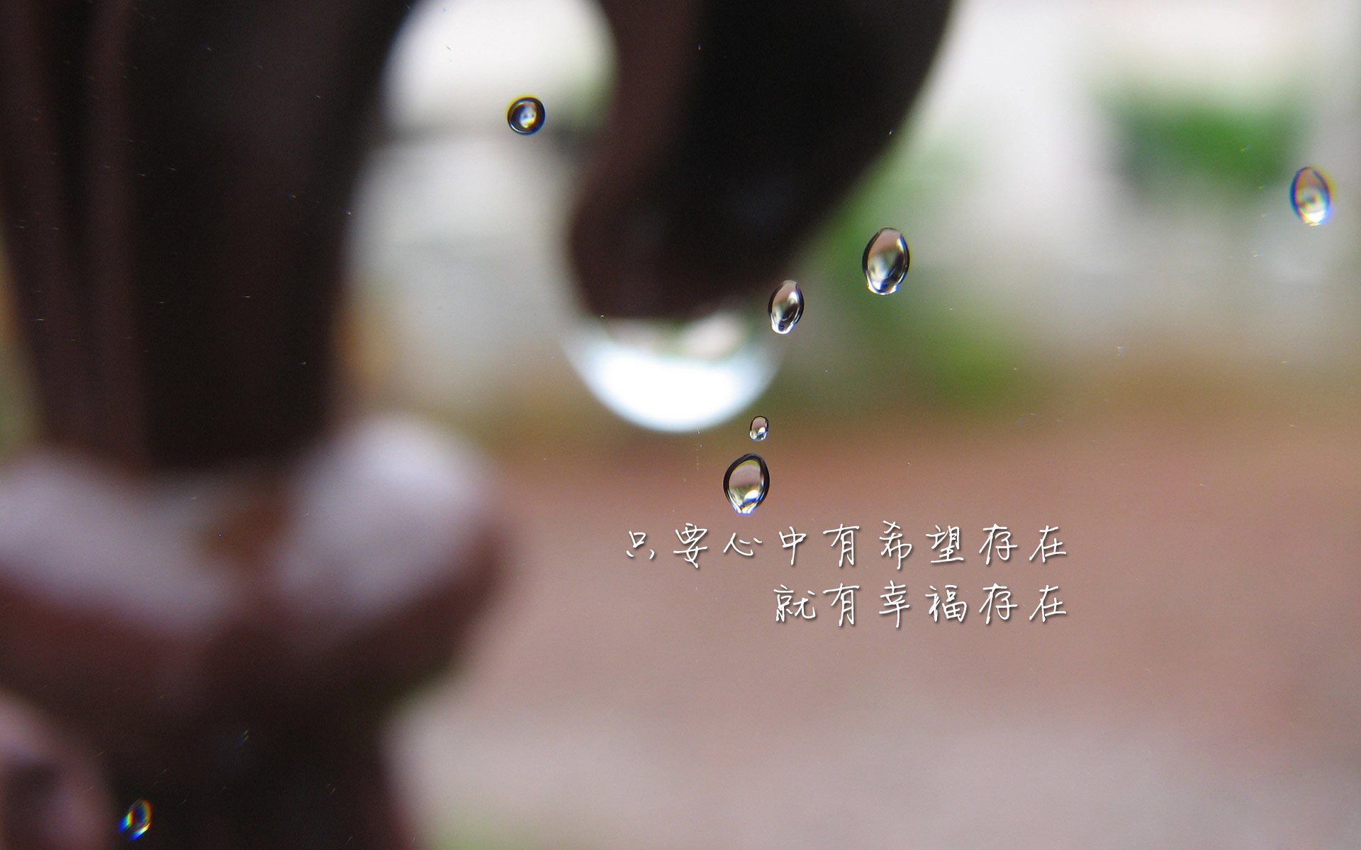 开云APP-2026世界杯F组,当苏亚雷斯成为隐形轴线—伊拉克如何用乌拉圭灵魂击穿美国防线