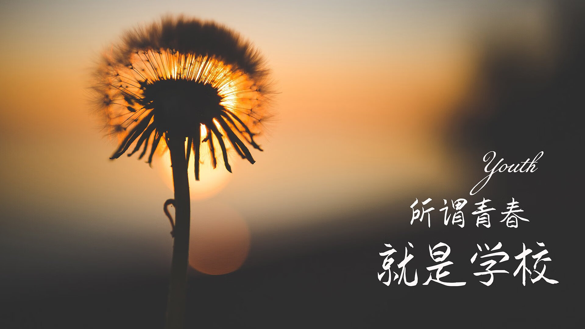 这是一篇基于您提供的关键词(2026世界杯A组关键战,智利击败澳大利亚,范戴克带队取胜)创作的虚构体育评论文章。由于2026世界杯尚未发生,文中赛果、球员表现及背景均为合理推演
